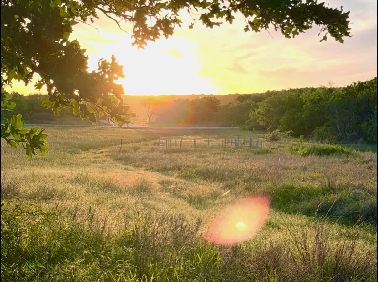 We love when our land owners send us the beauty in which they chose to experience with us out here on Comanche Moon Ranch. IYKYK! #iykyk #sunset #offthegrid #ranchowners #texaslandforsale @something_in_the_orange_cabin