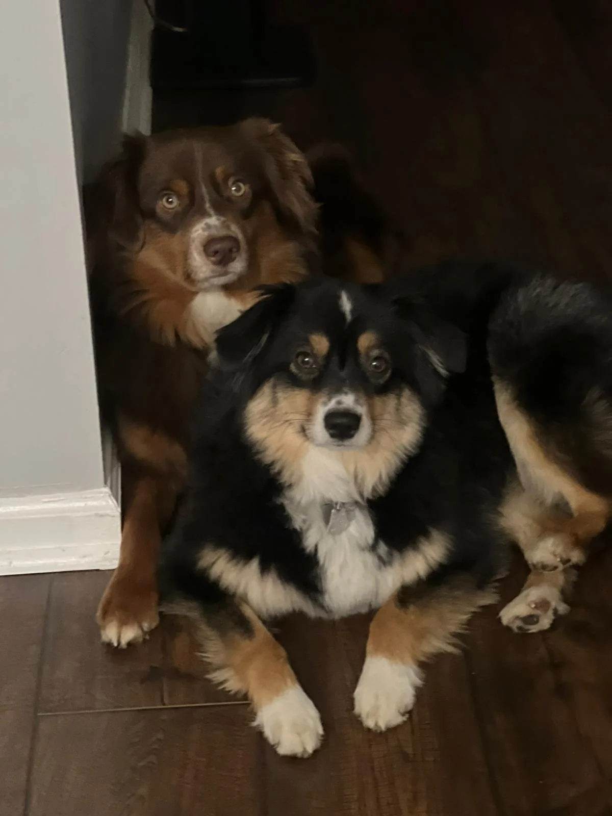 albert and bella.jpg