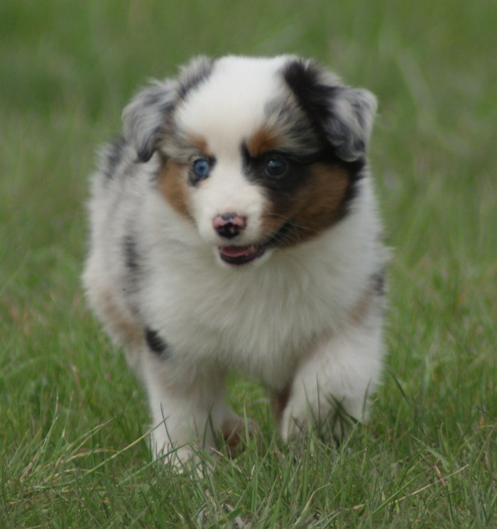 Navi's sister blmer.jpg