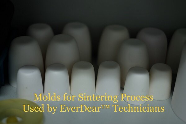 everdear-lab-photo.jpg