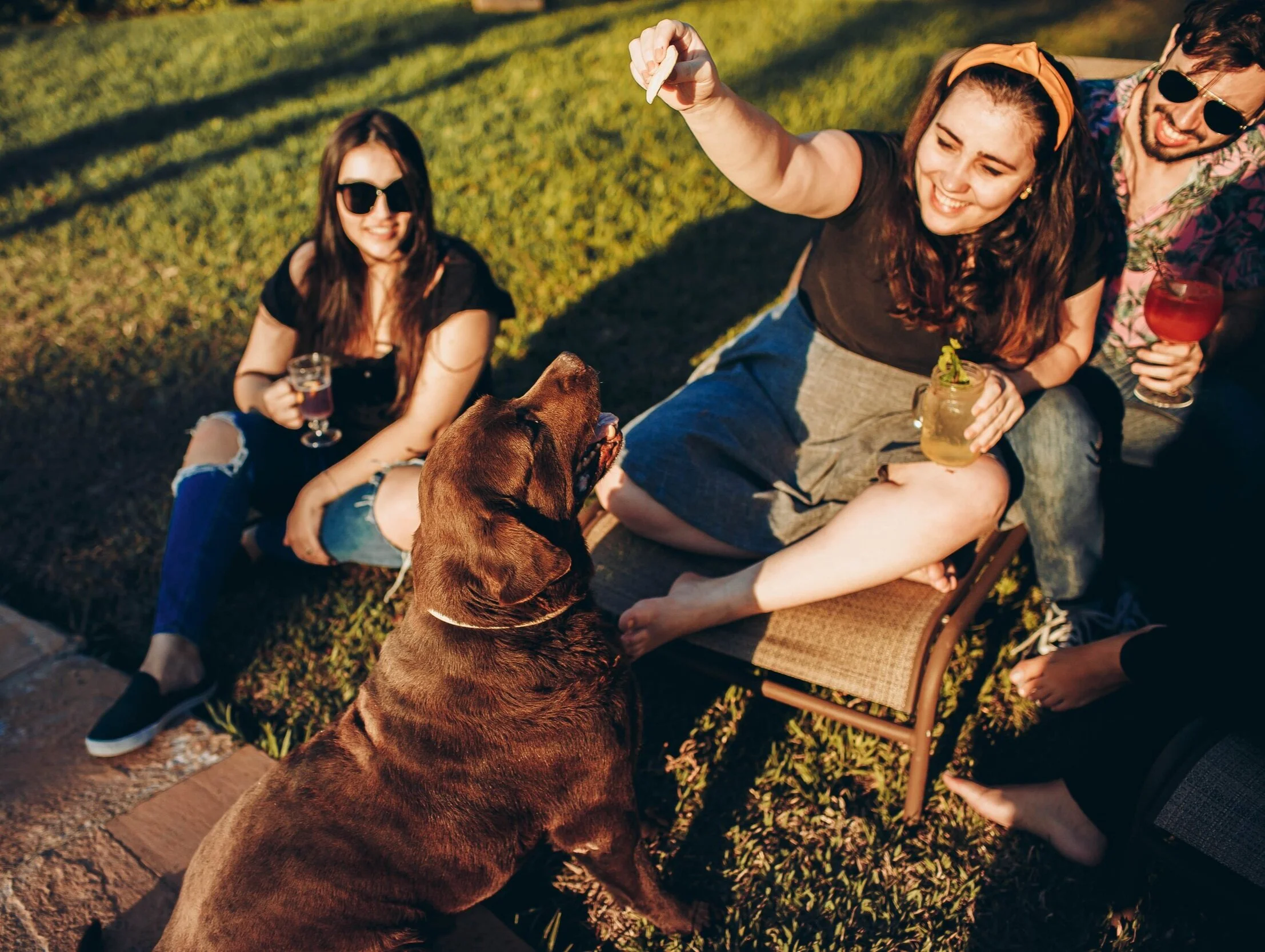 Everdear Co Pet Ashes To Cremation Diamonds From 695 Everdear Usa Cremation Diamonds From Ashes And Hair From 695