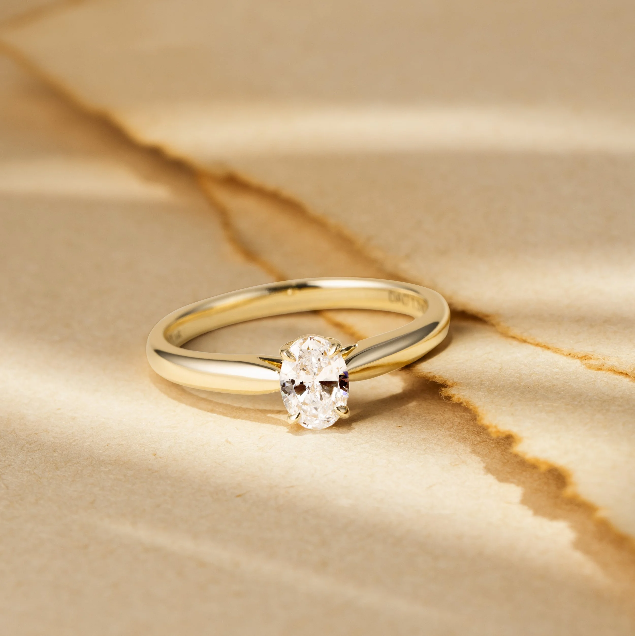 R2117_3.jpg
