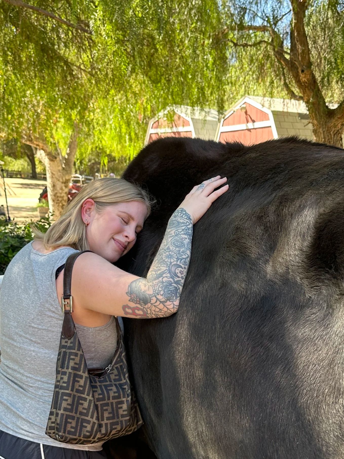 EverDear Staff at an animal sanctuary