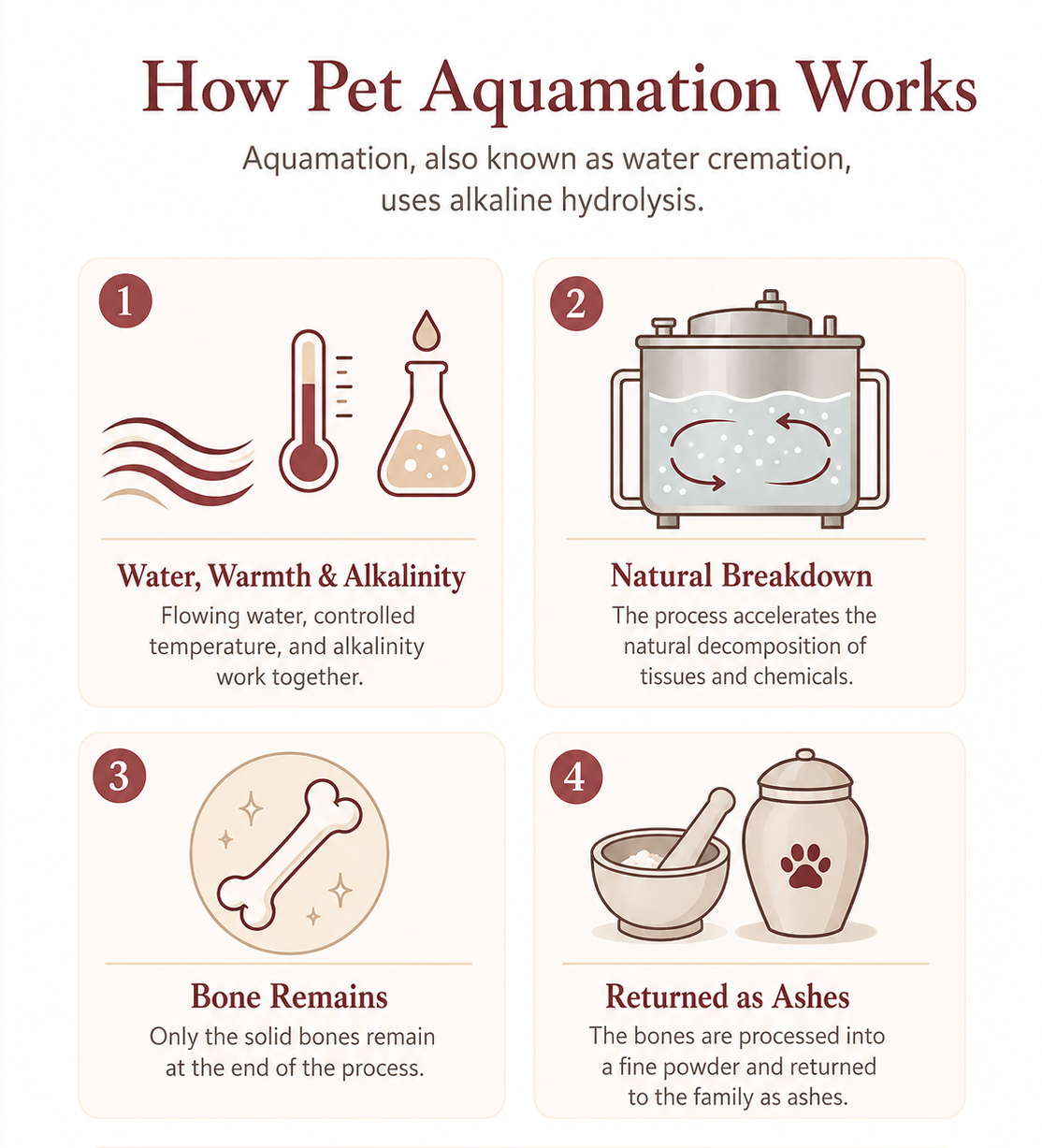 Illustration of the pet aquamation process using water and alkaline solution