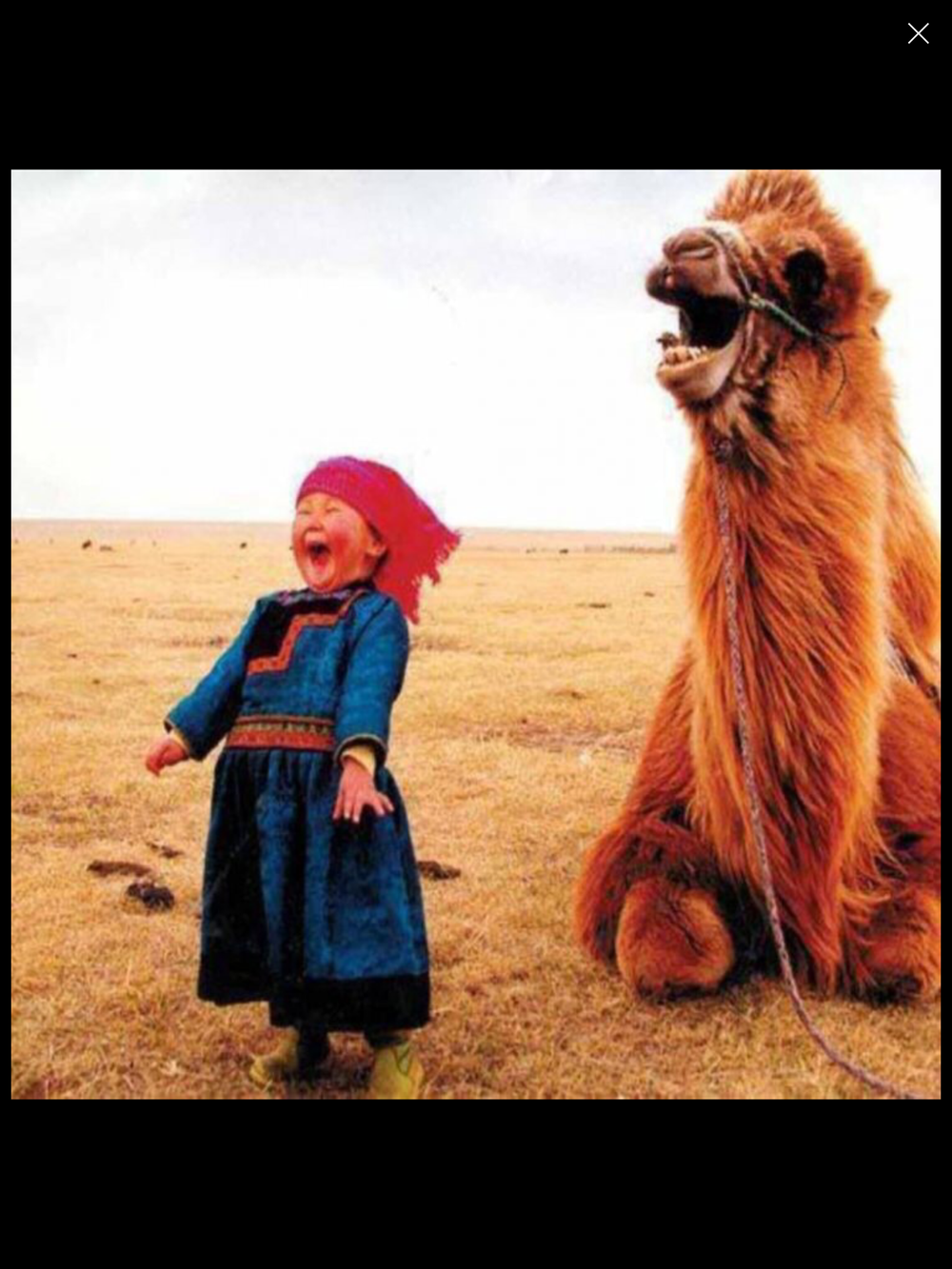 happygirl and camel.PNG