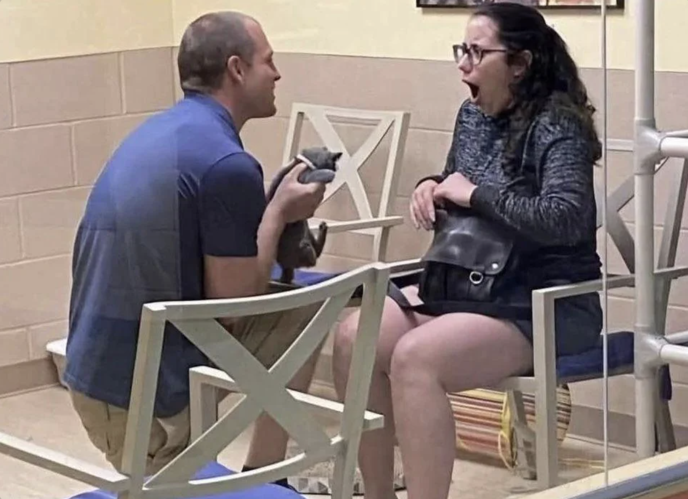 Man proposing with a kitten instead of a ring