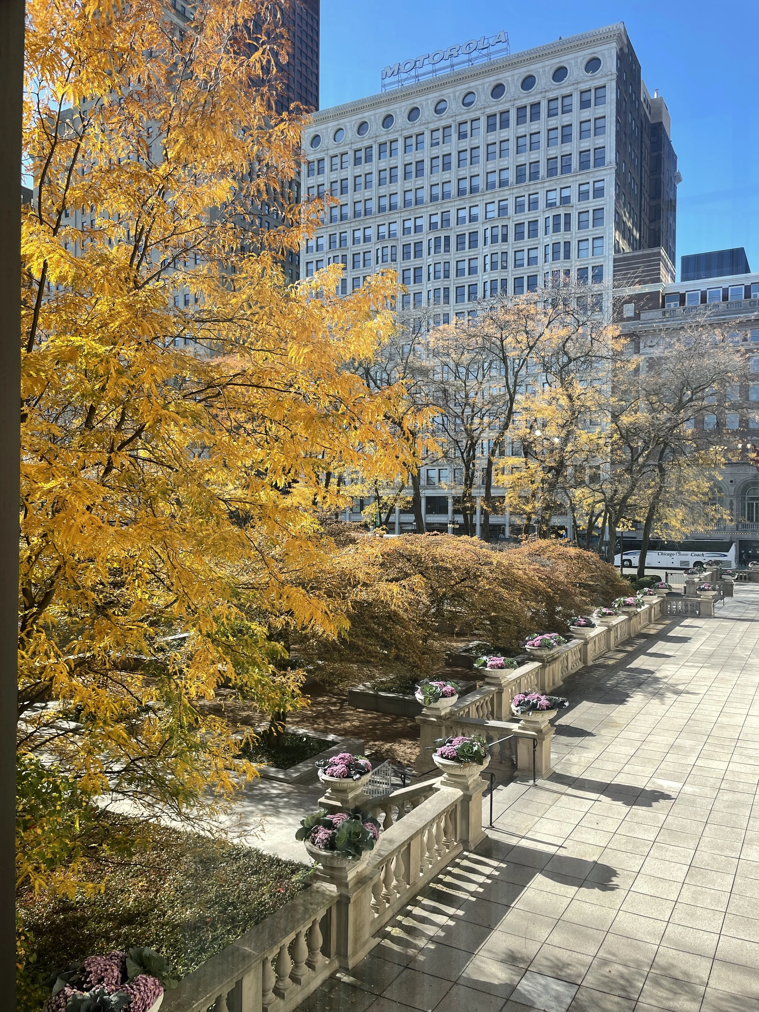 Cityscape with trees having yellow and orange leaves, a stone terrace with flower pots, and a tall white building with the 'Motorola' sign on top.
