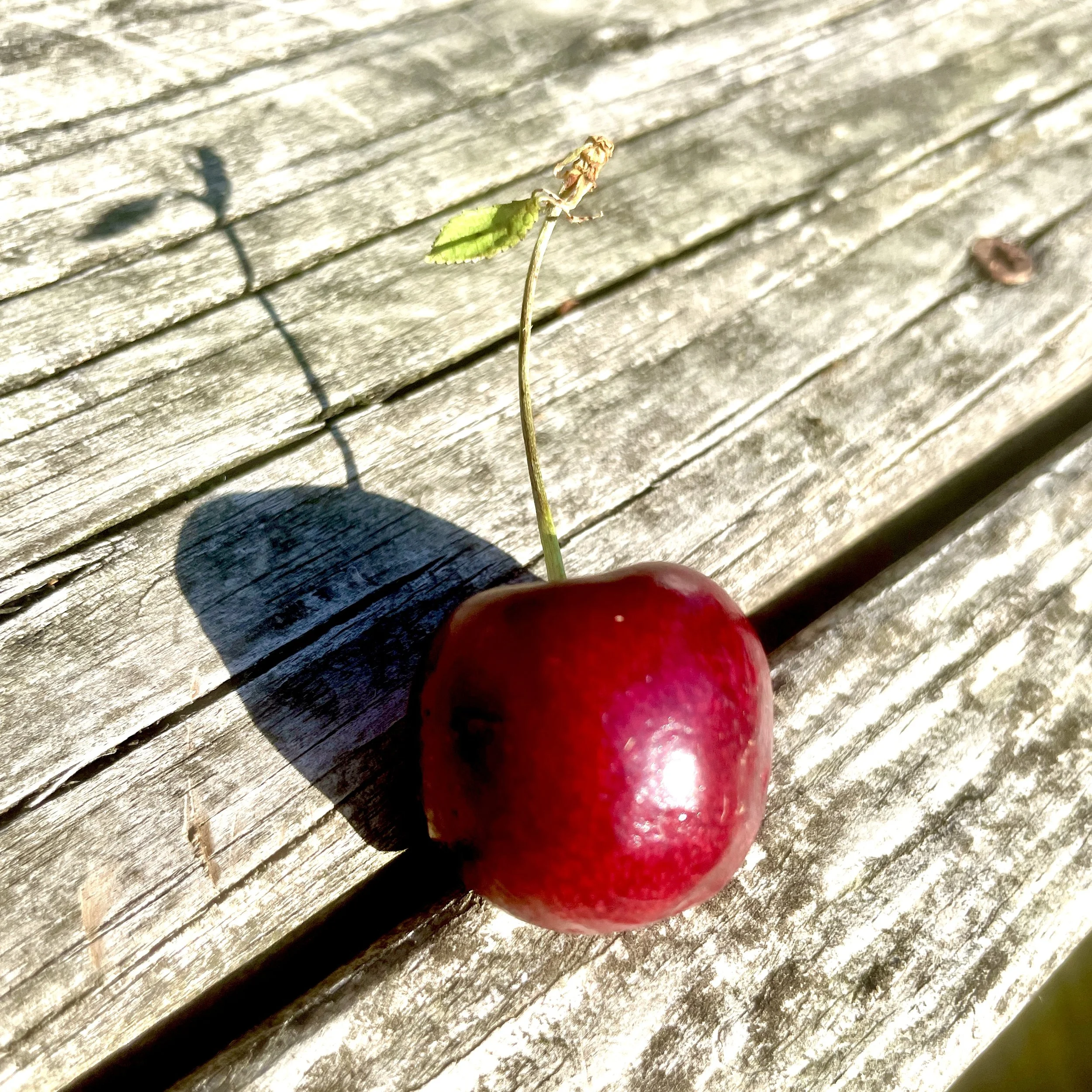A cherry with a small green leaf and stem, casting a shadow on a weathered wooden surface.