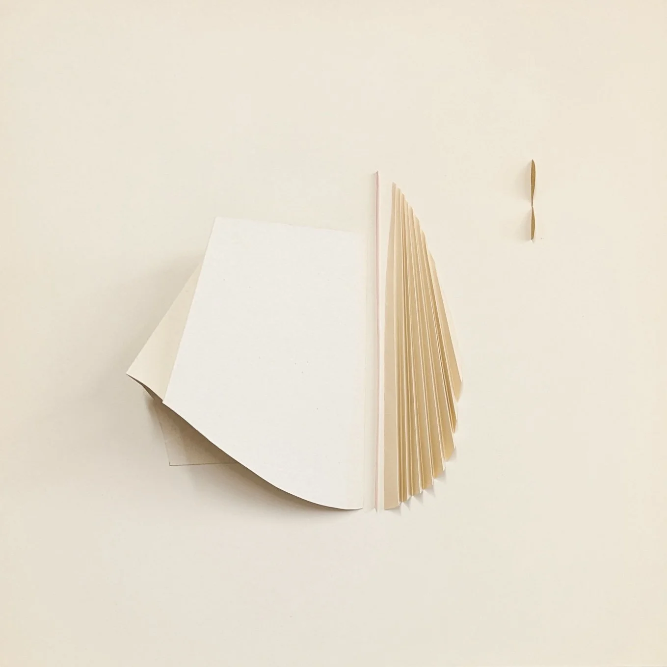 Ivoire Diptych 16x16, 2026