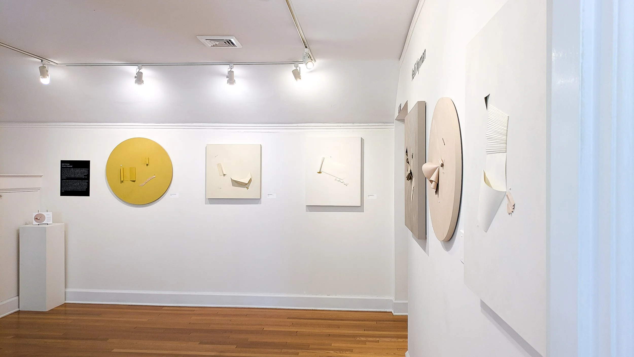 kelli_nyman_svac_solo_show_06.29.25_post_opening-114.jpg
