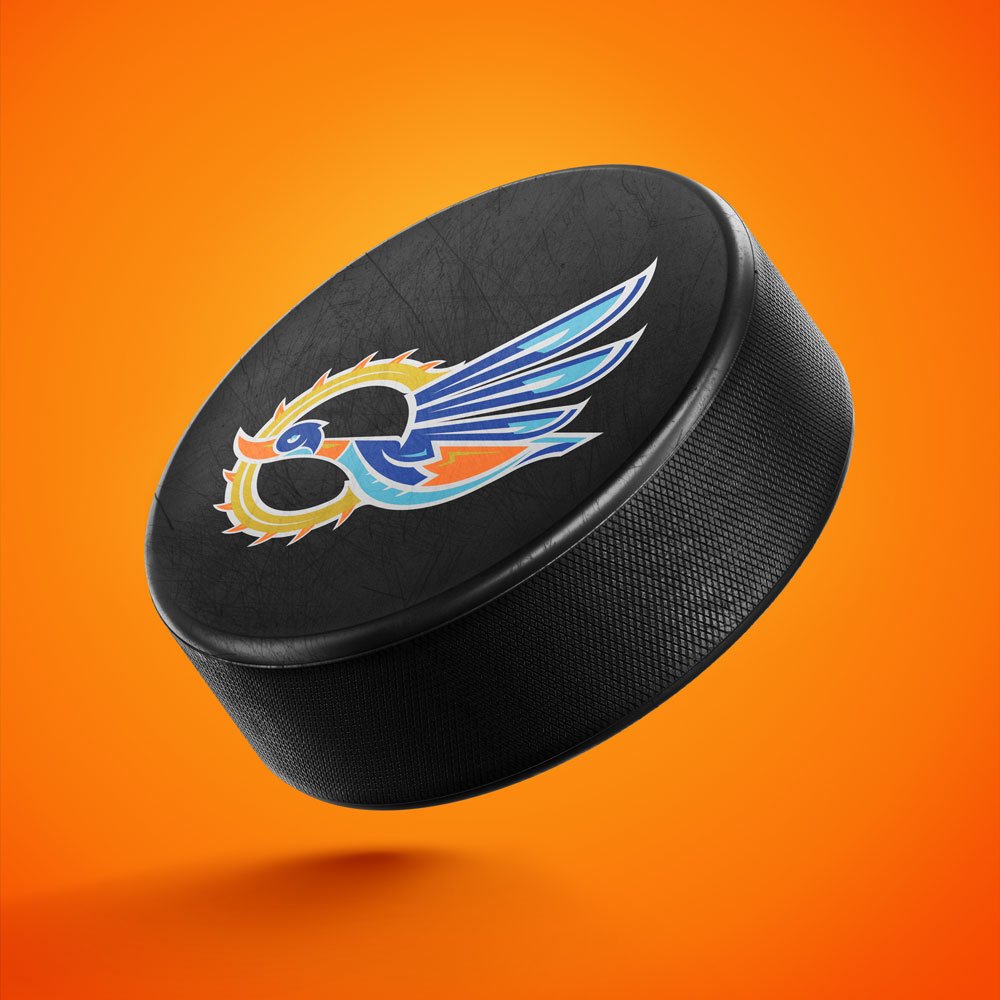 Anaheim Ducks rebrand — Brian Goff Design & Illustration