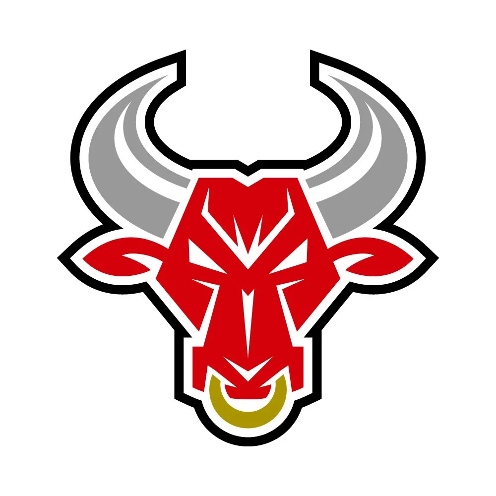 Chicago Bulls Basketball Logo HD Wallpaper – Sports Iconic Emblem, image size:1000x1000