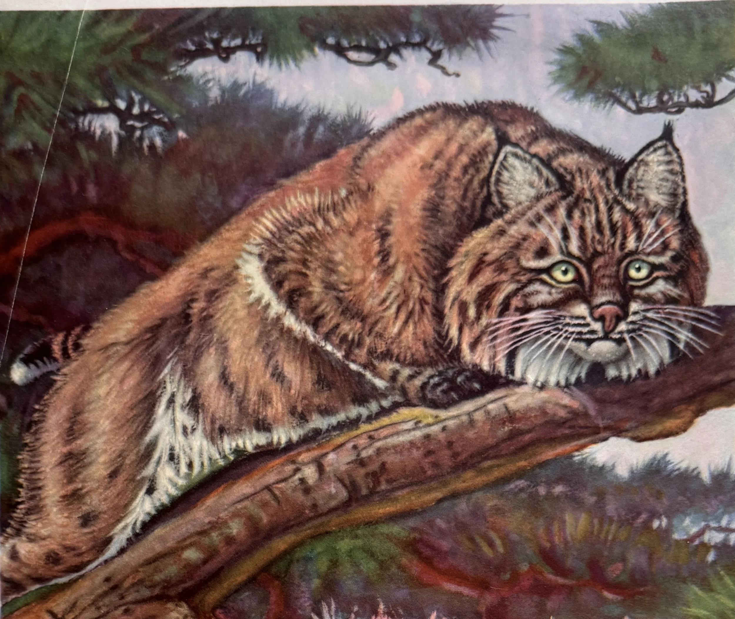 SUNSET ROAD, HIGHLAND PARK