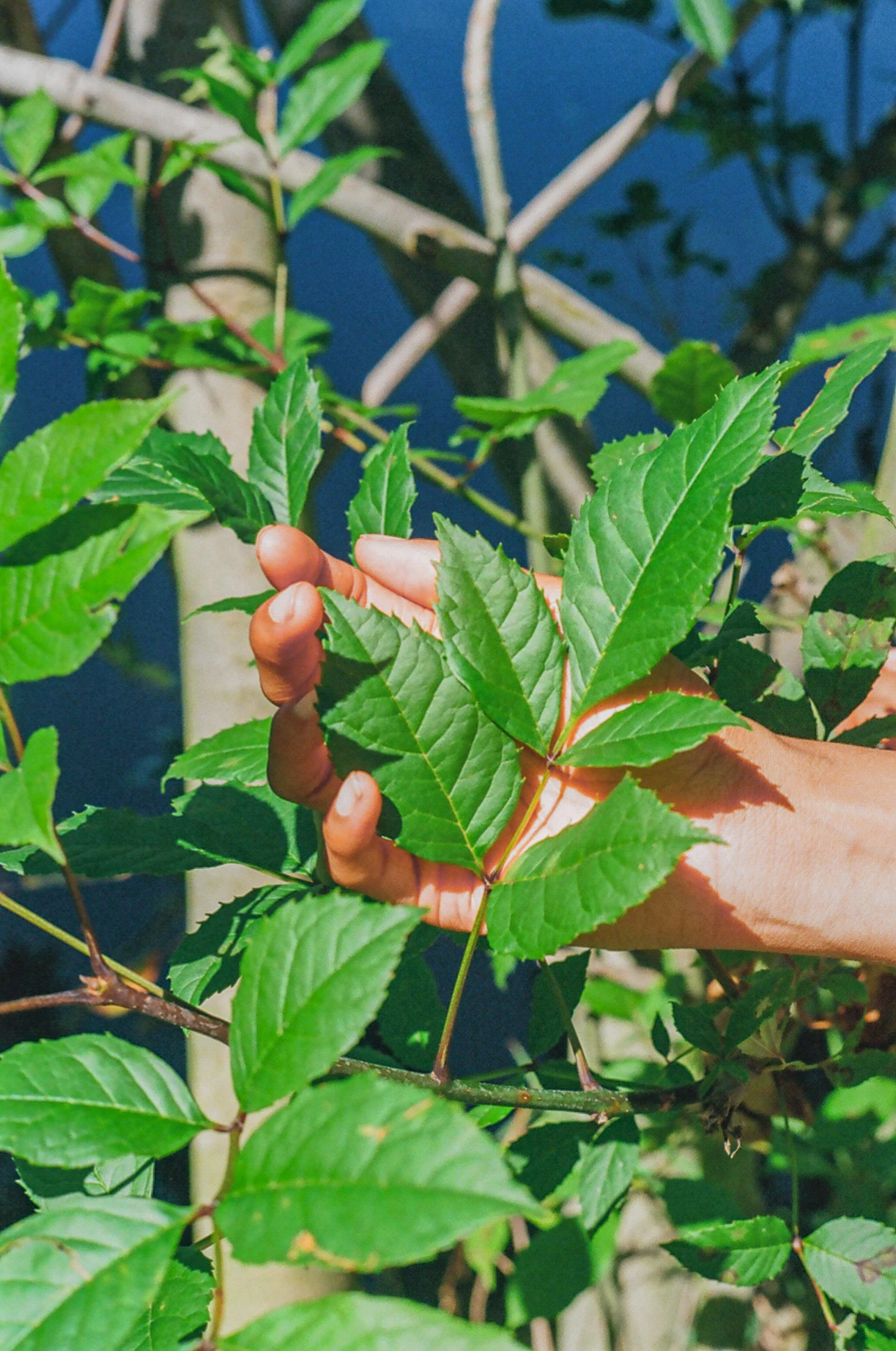 "When Tomorrow Comes" - visual concept for A Yearner’s Soliloquy by Elizabeth Price, 35mm, 2025 