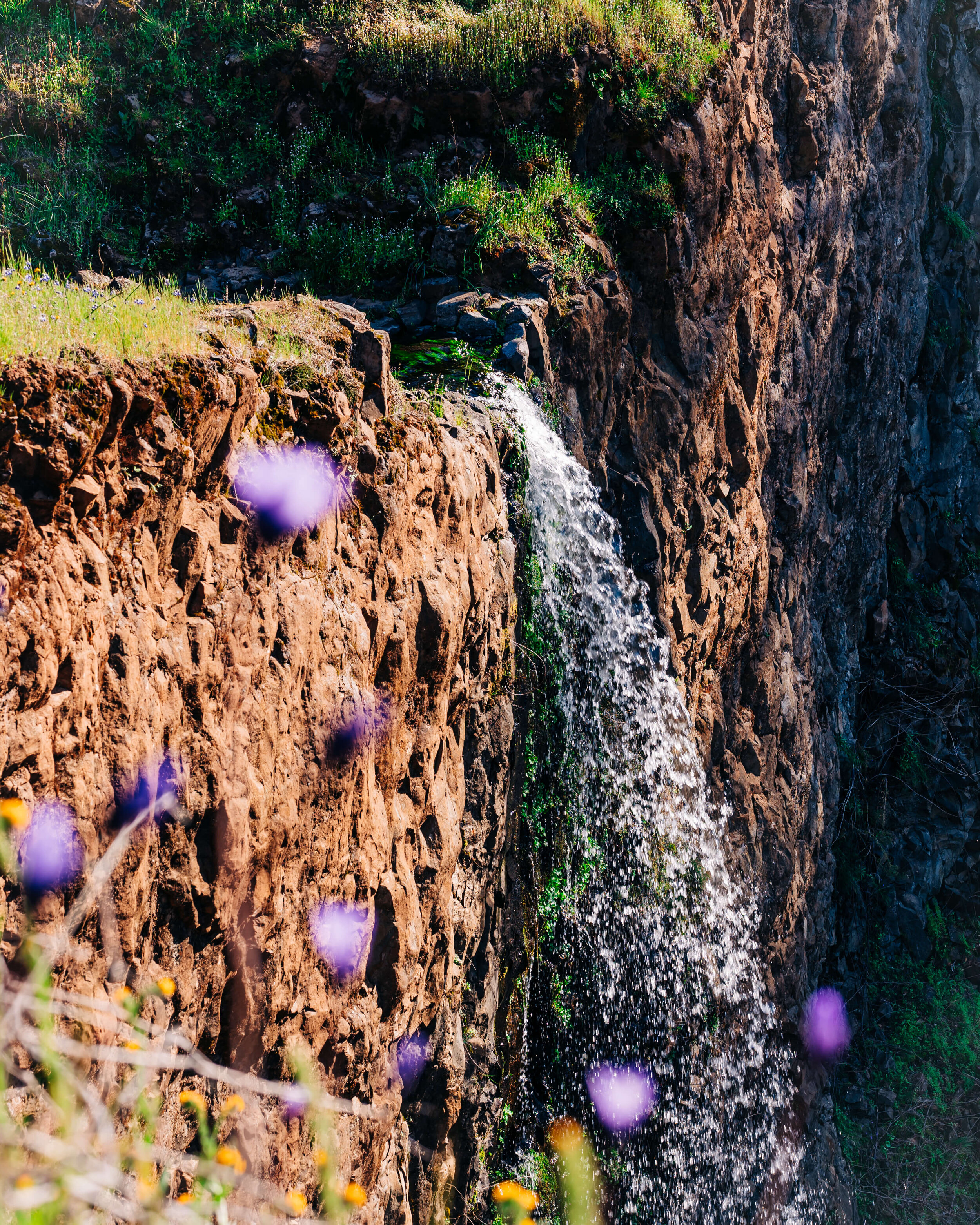 Ravine Falls, CA