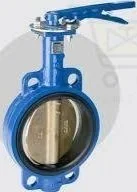 L & T SS BUTTERFLY VALVE