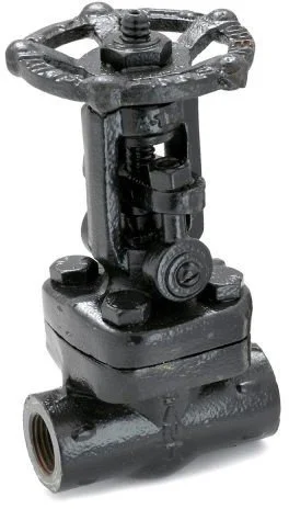 Sant FSV 8A Forged Steel Gate Valve