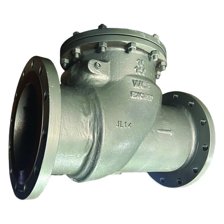 Exceed cast steel swing check valve