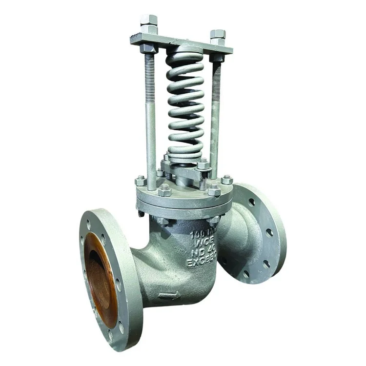 Exceed cast steel safety valve