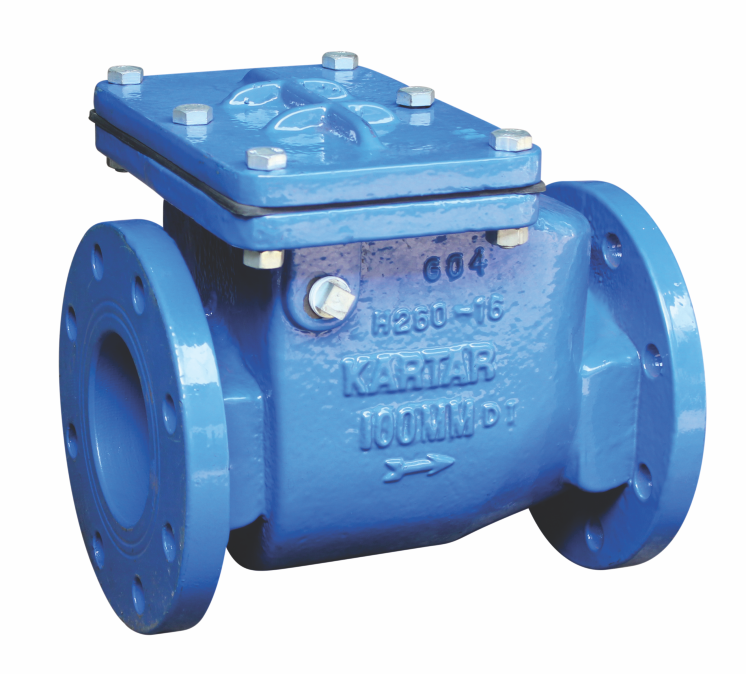 Blue industrial check valve