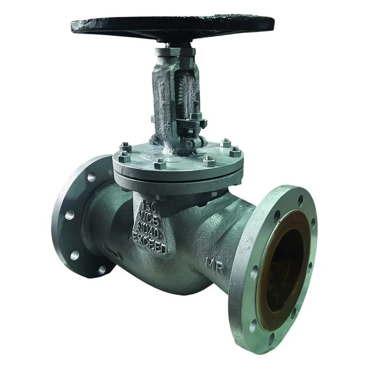 Exceed cast steel globe valve