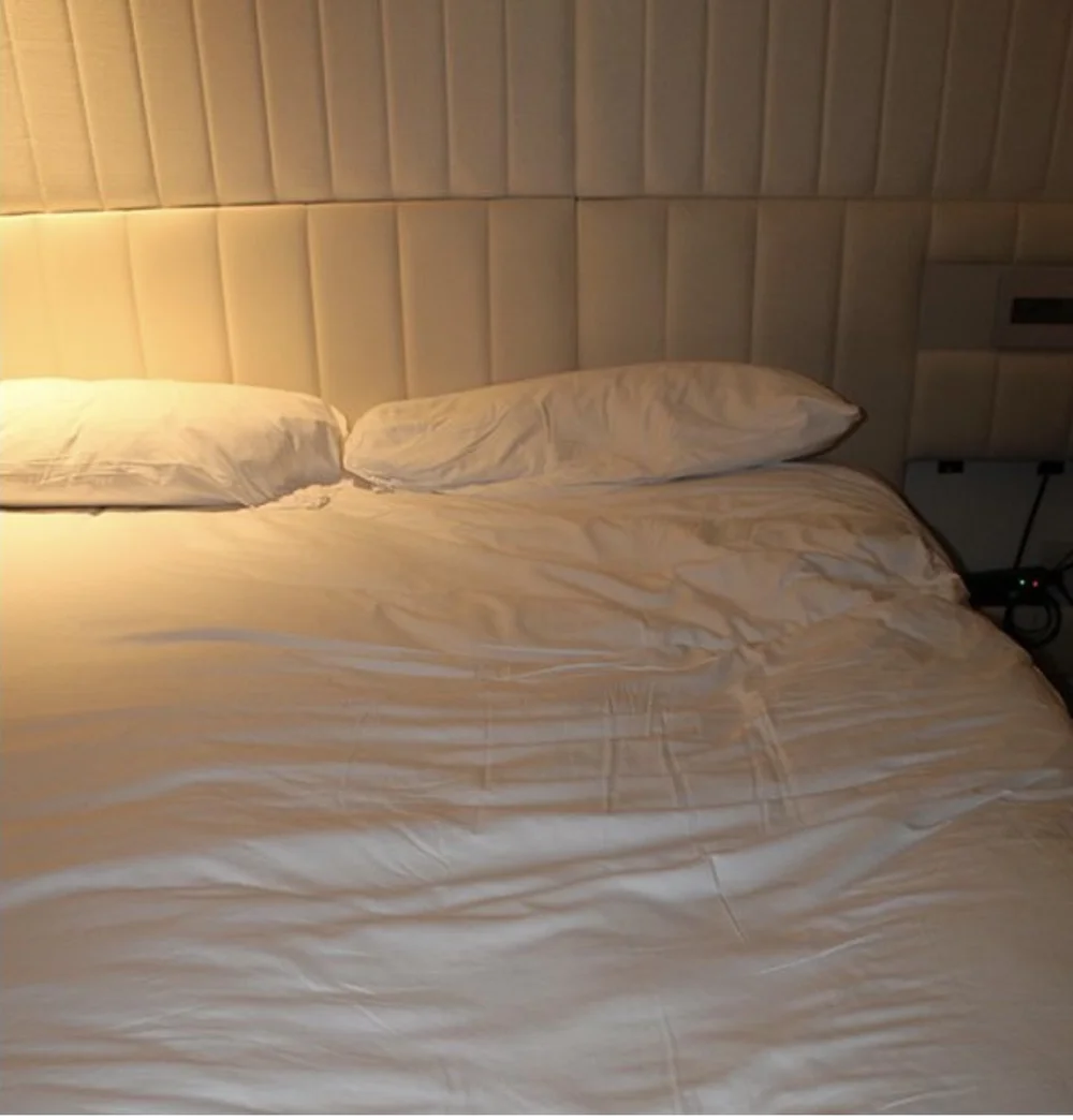 IMG_5960.jpeg
