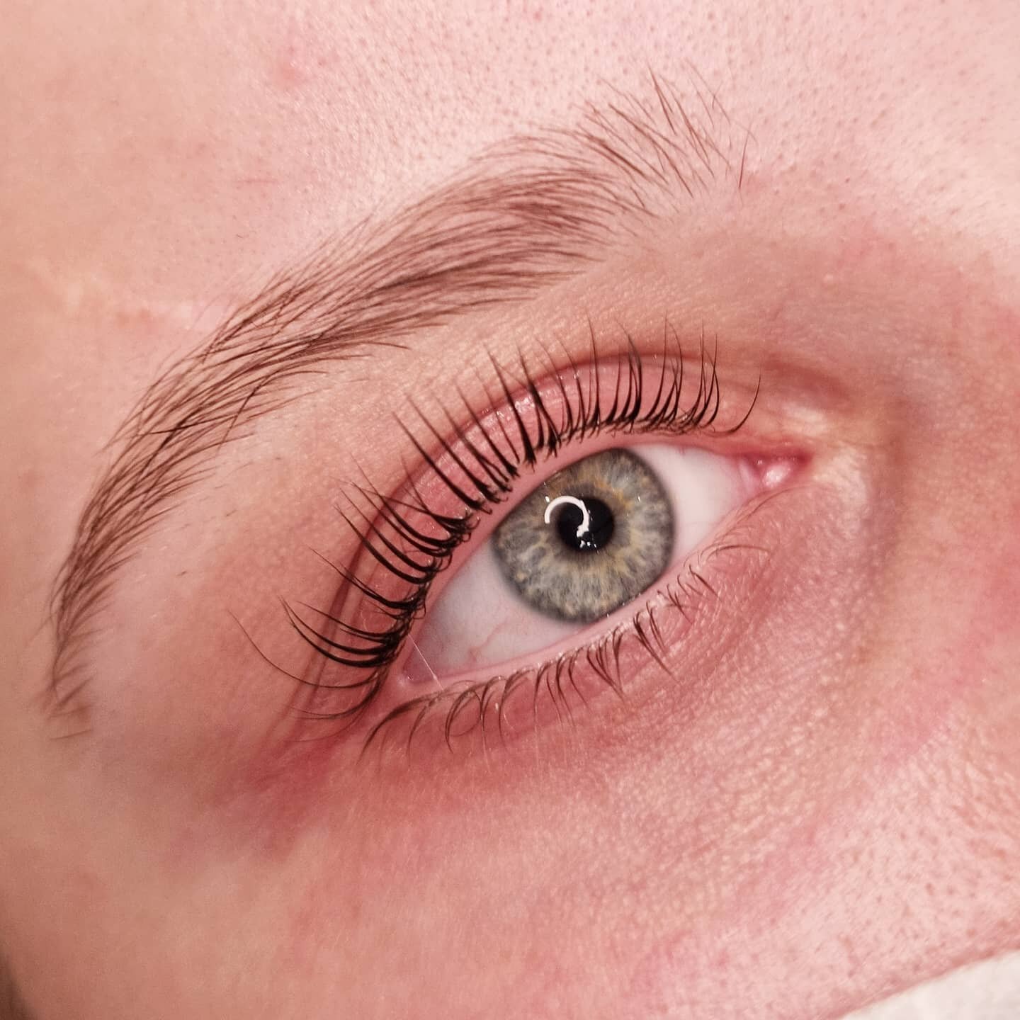 Lash Lift &amp; Tints

Lash lifts and tints are a perfect alternative to eyelash extensions or if you just want that mascara look! 

Lasts: 6-8 weeks
(tint lasts up to 2 weeks)
Maintenance: Low

Pairs perfectly with Eyenvy Serum!

Book your lash lift