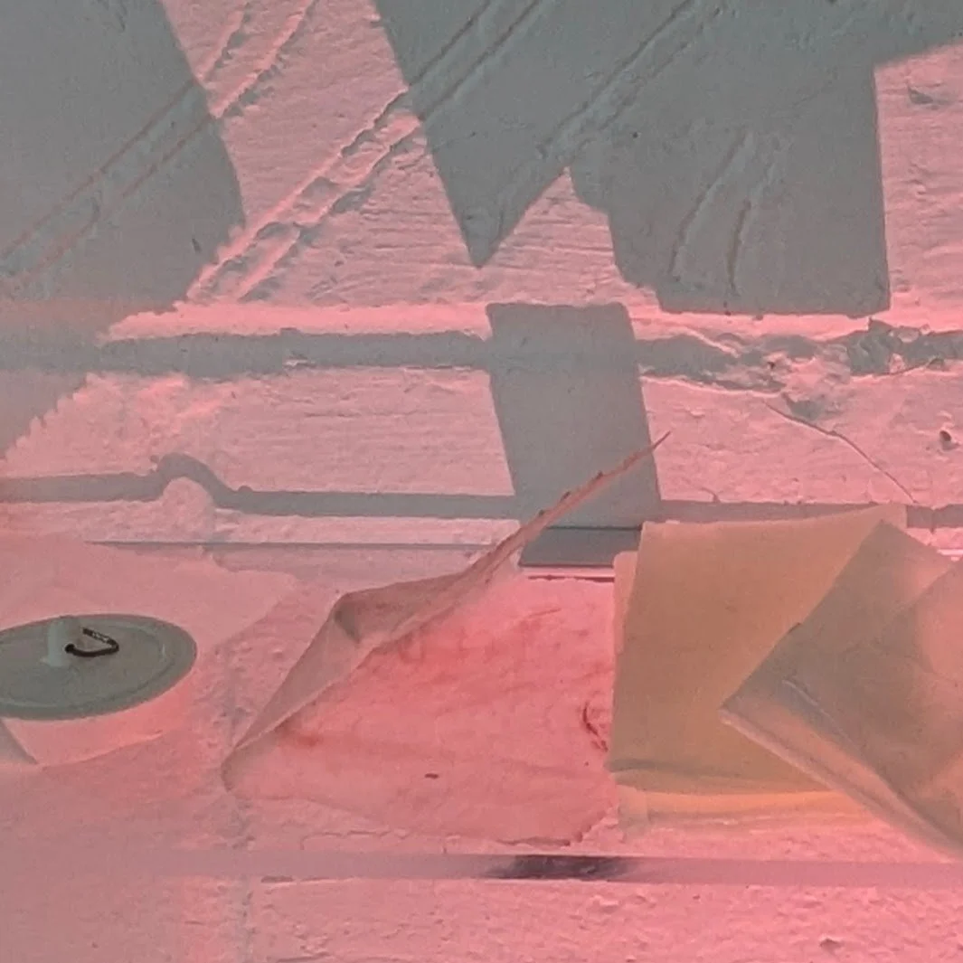 Shelf_3_Katharine_WestonSmith.jpg