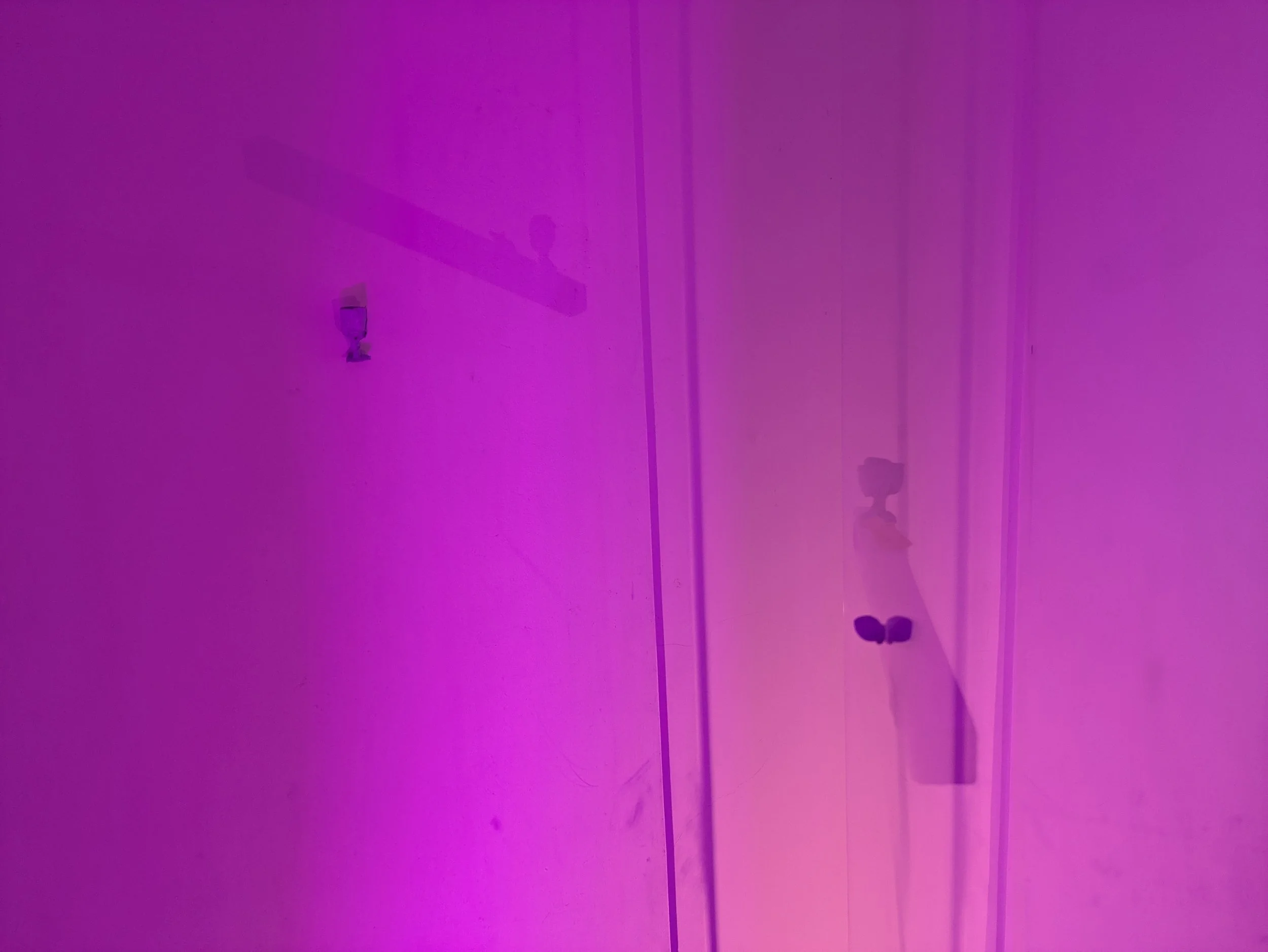 PXL_20260519_141244884.jpg