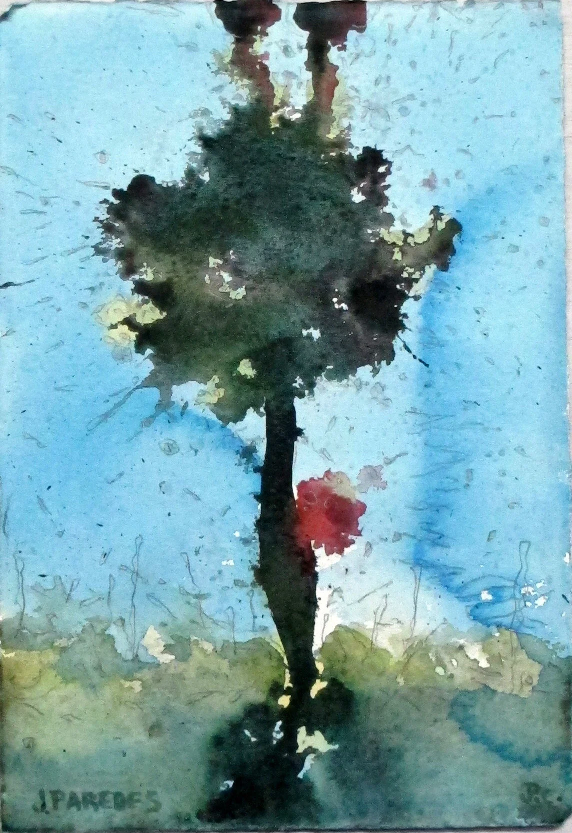 Flores XVIII ®Jose Paredes