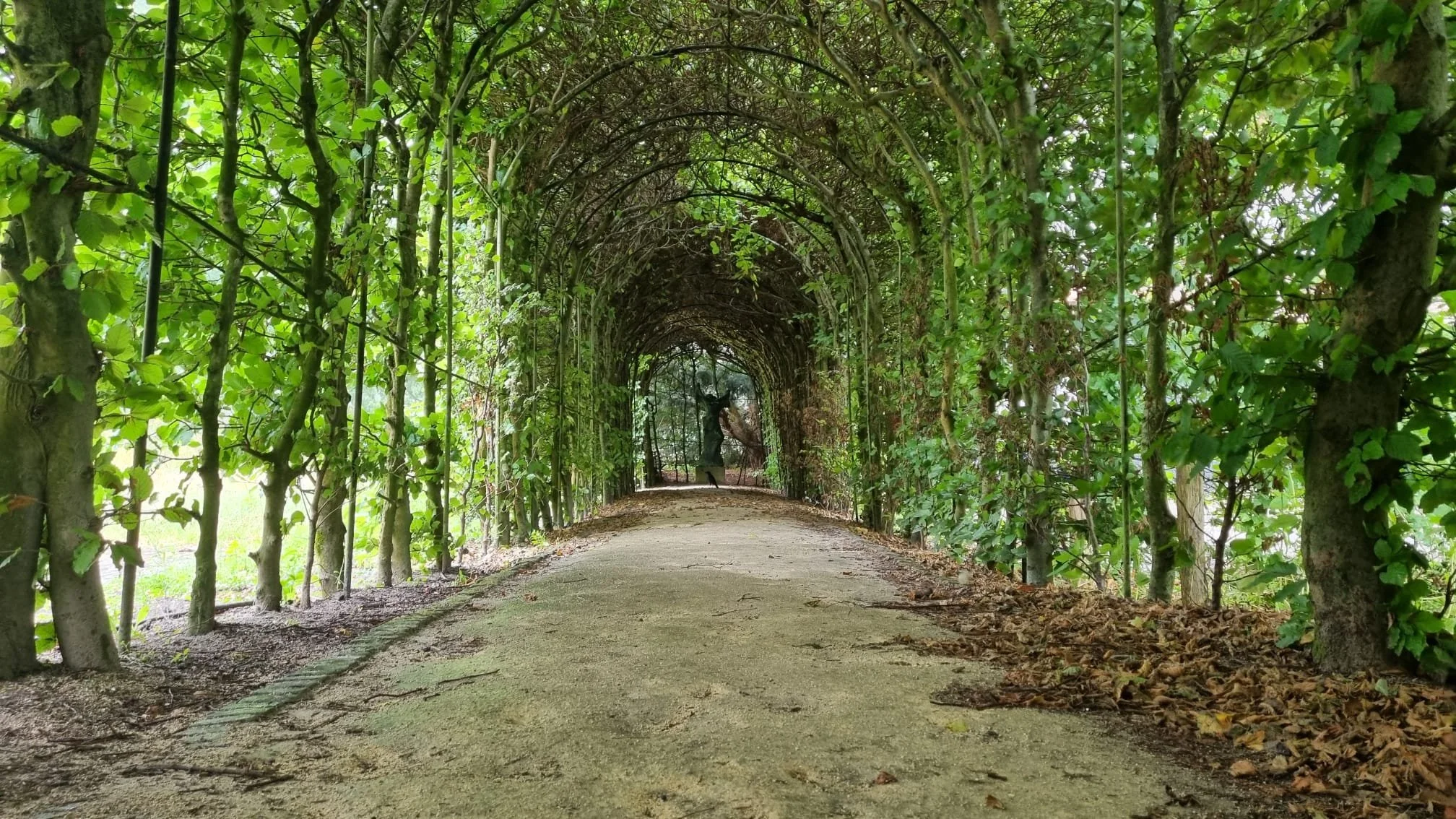 Heroplevende aandacht