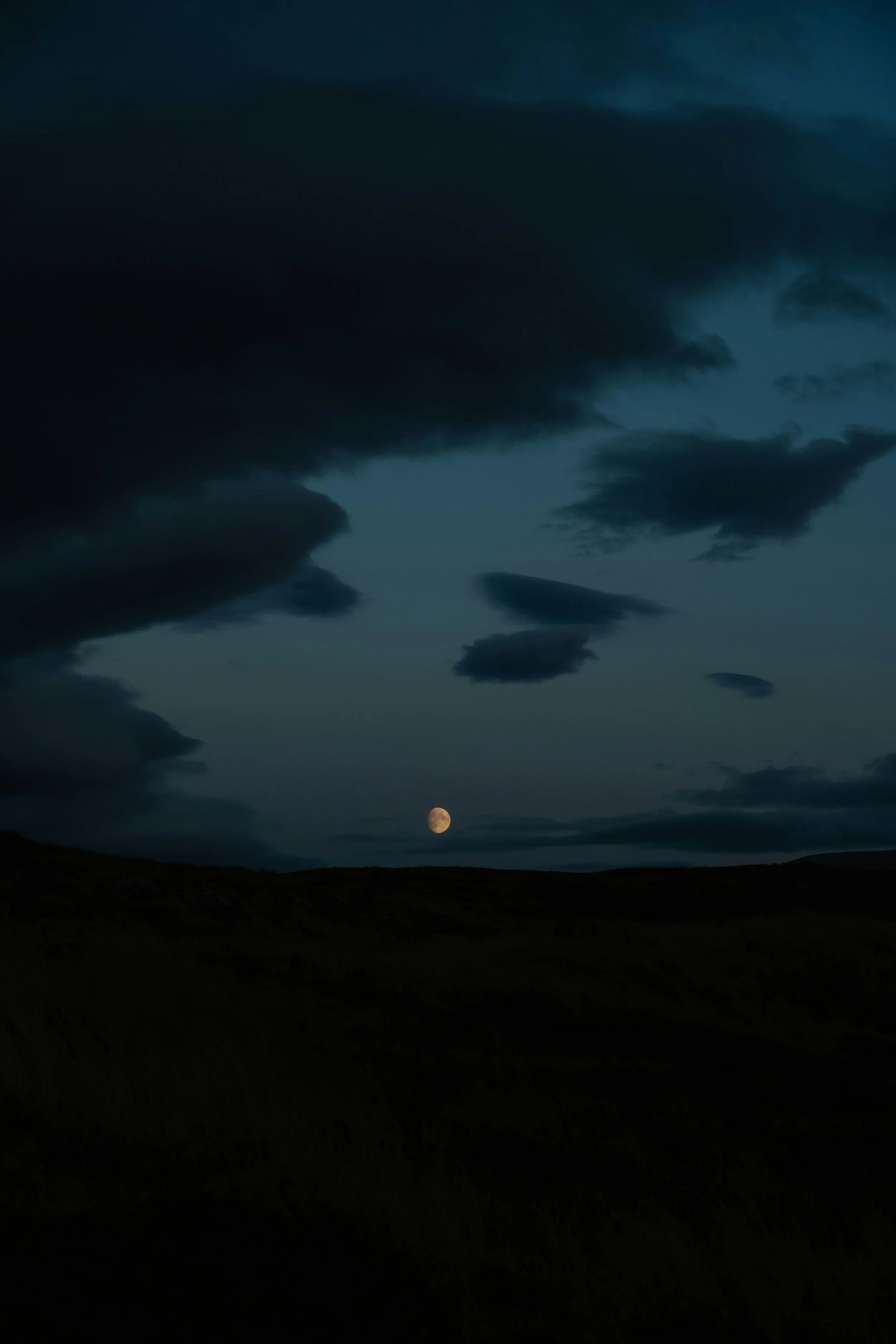 Ontmoetingen met oneindigheid