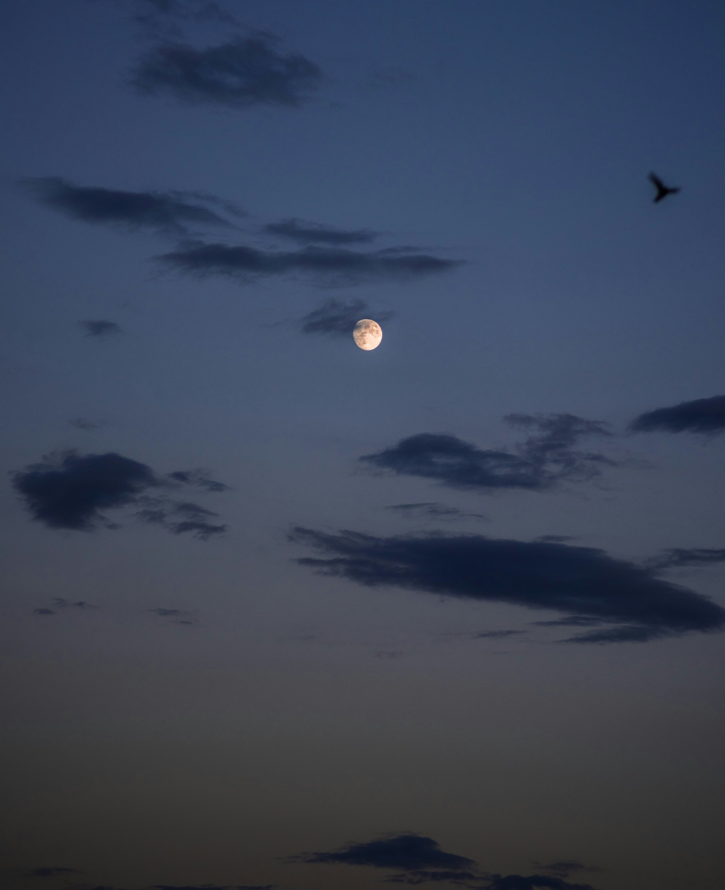 Beklemmende versnelling