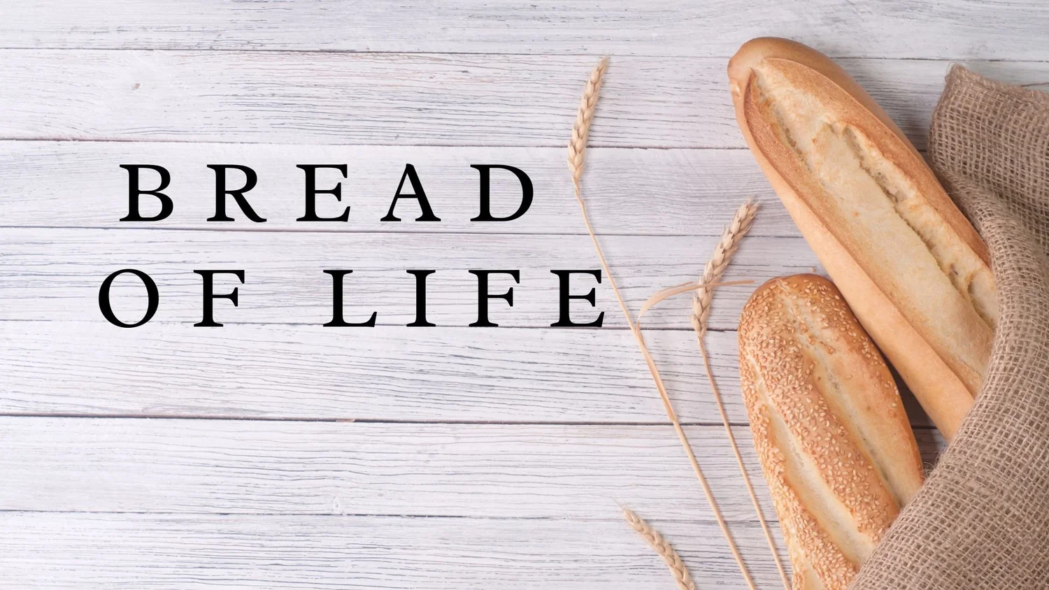 The Bread of Life episode artwork