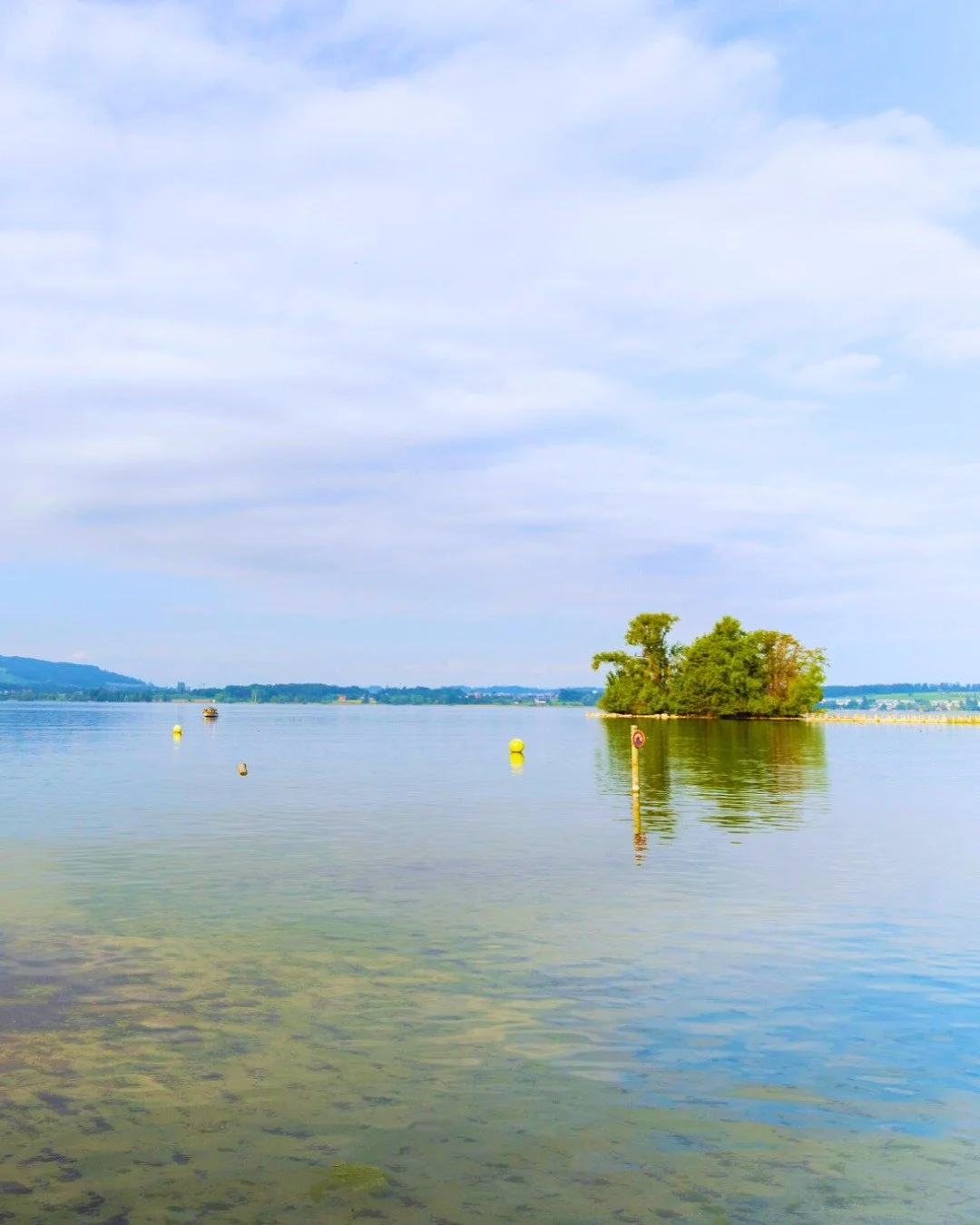 Blaues Wasser, gr&uuml;ne Wiesen und schattige Pl&auml;tzchen &ndash; Was will man mehr? 🌳 💙

***
#strandbadzug #beachvibes #feriengef&uuml;hl #zug #kantonzug #see #lake #zugersee #badi #sommer #summertime #ferien #sommerferien #urlaub #familie #re