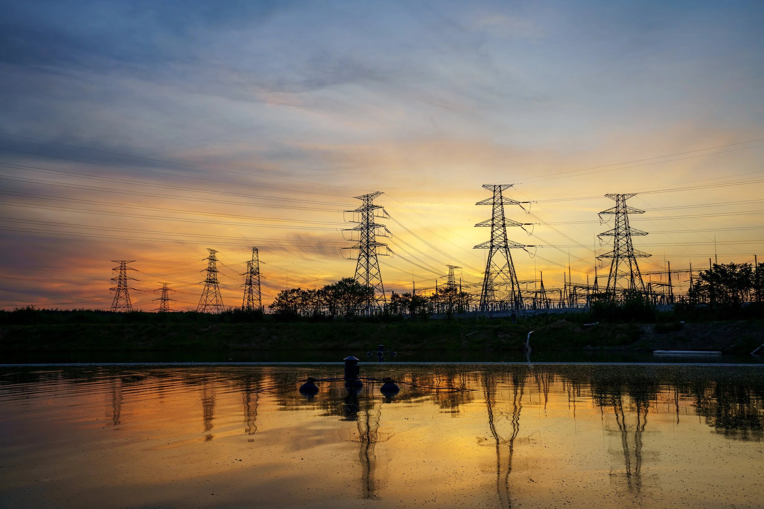 Overstory Unveils First AI Models to Predict Power Outages and Wildfires with Tree-level Precision