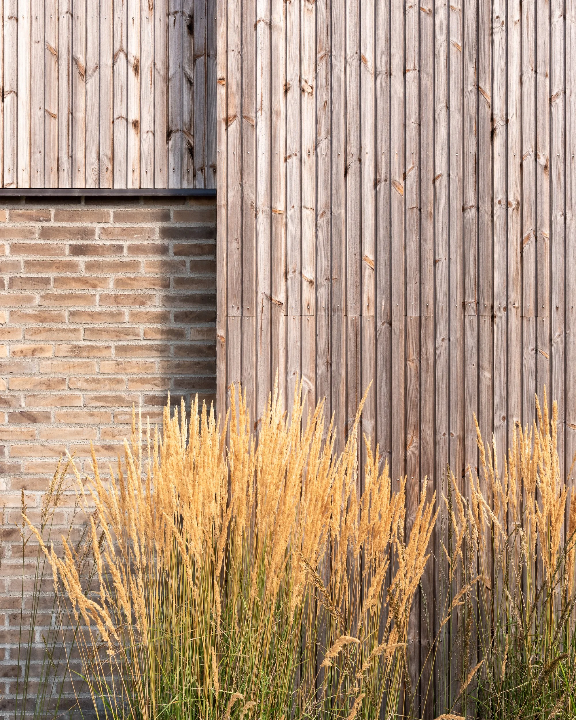 A wooden fence with vertical planks next to a brick wall with horizontal bricks, and tall dried grass in the foreground.