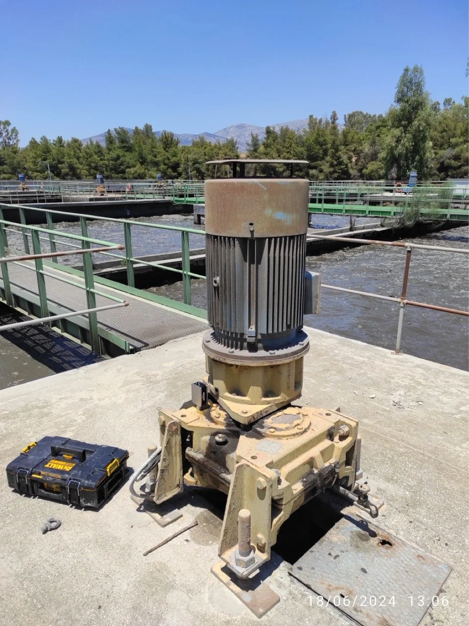 IMG_20240618_130641 Large.jpeg