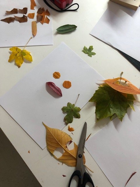 Ephra on the road children make faces out of leaves