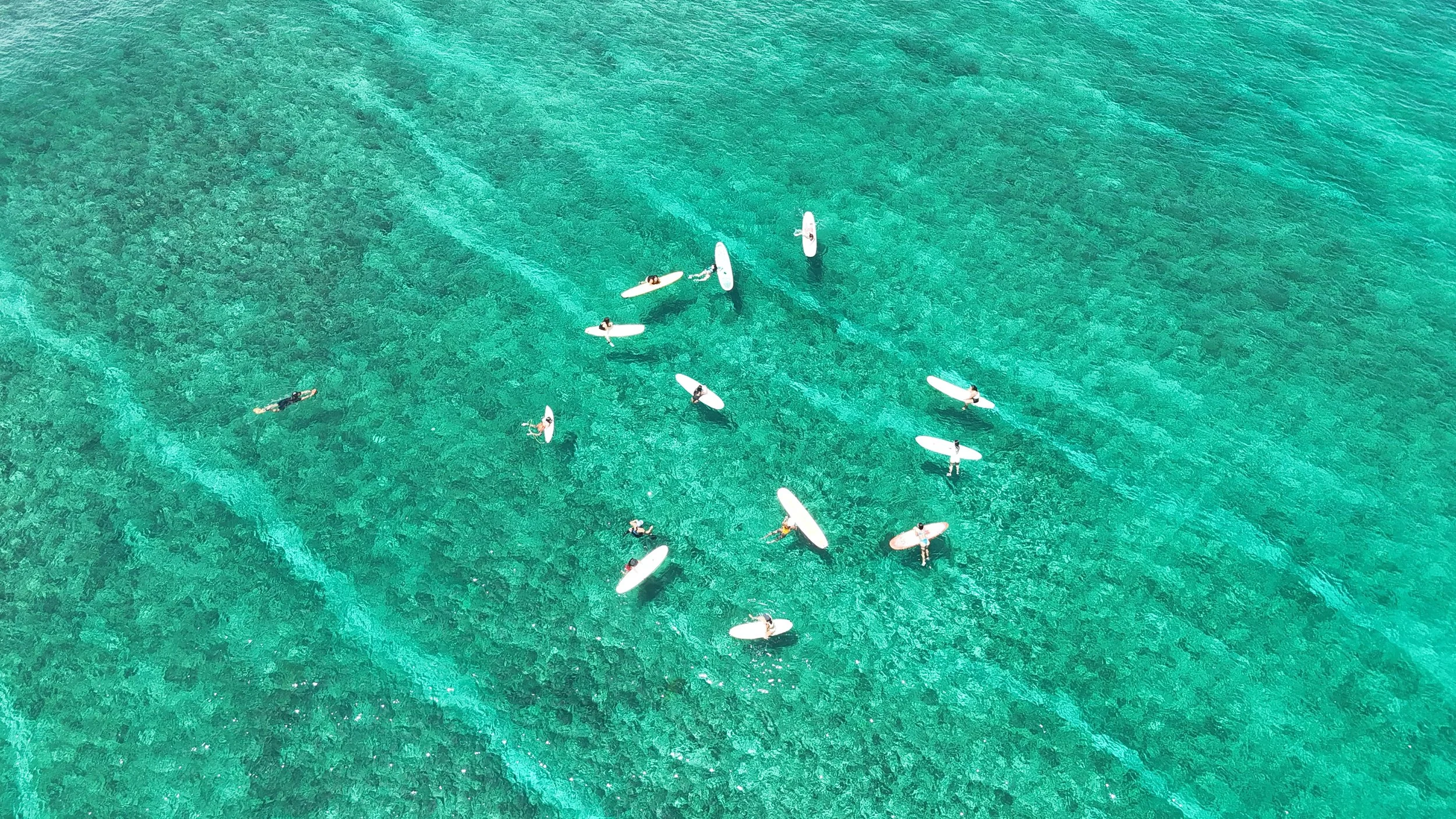 dji_fly_20251004_104000_0013_1759545924397_photo.JPG