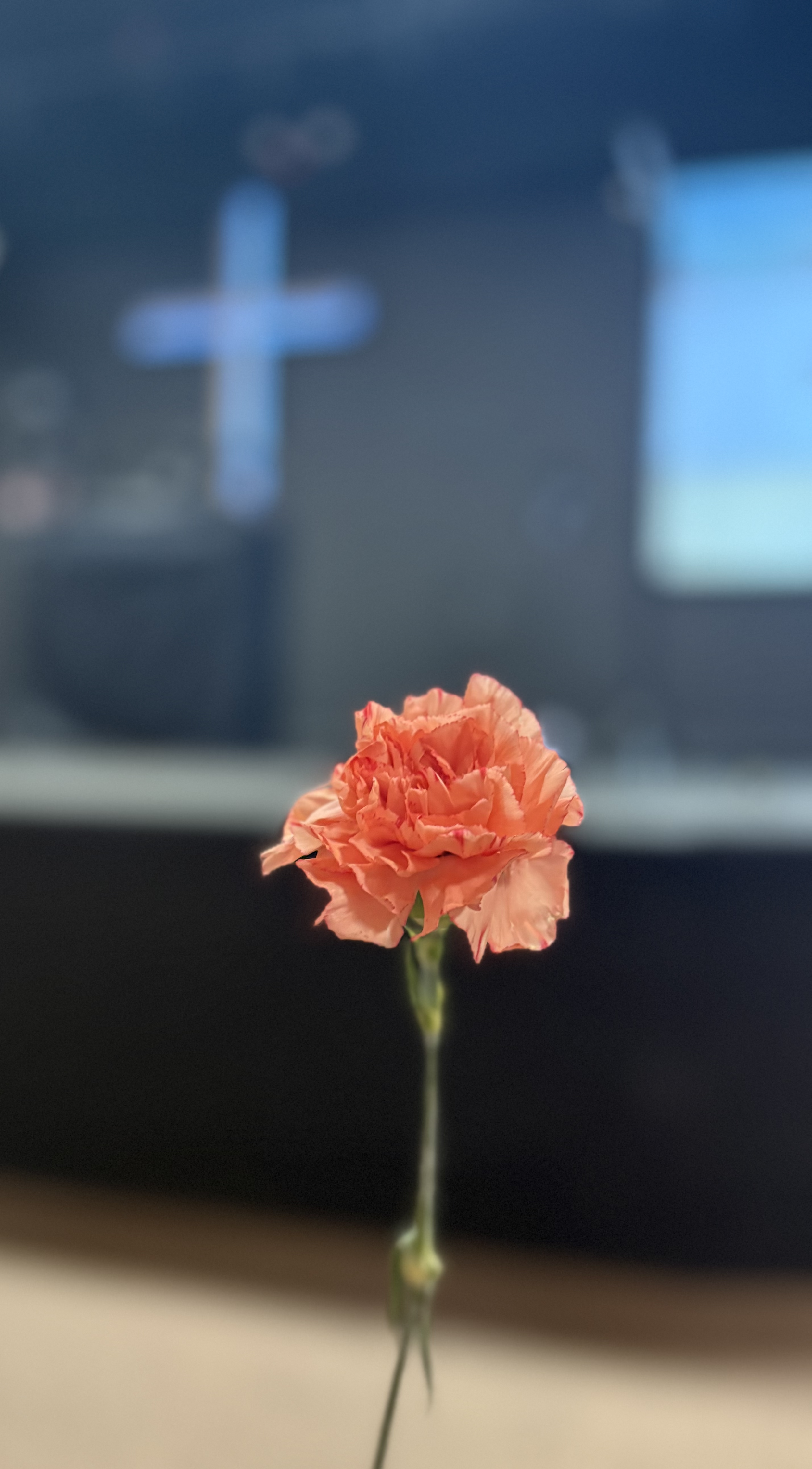 IMG_4241.png