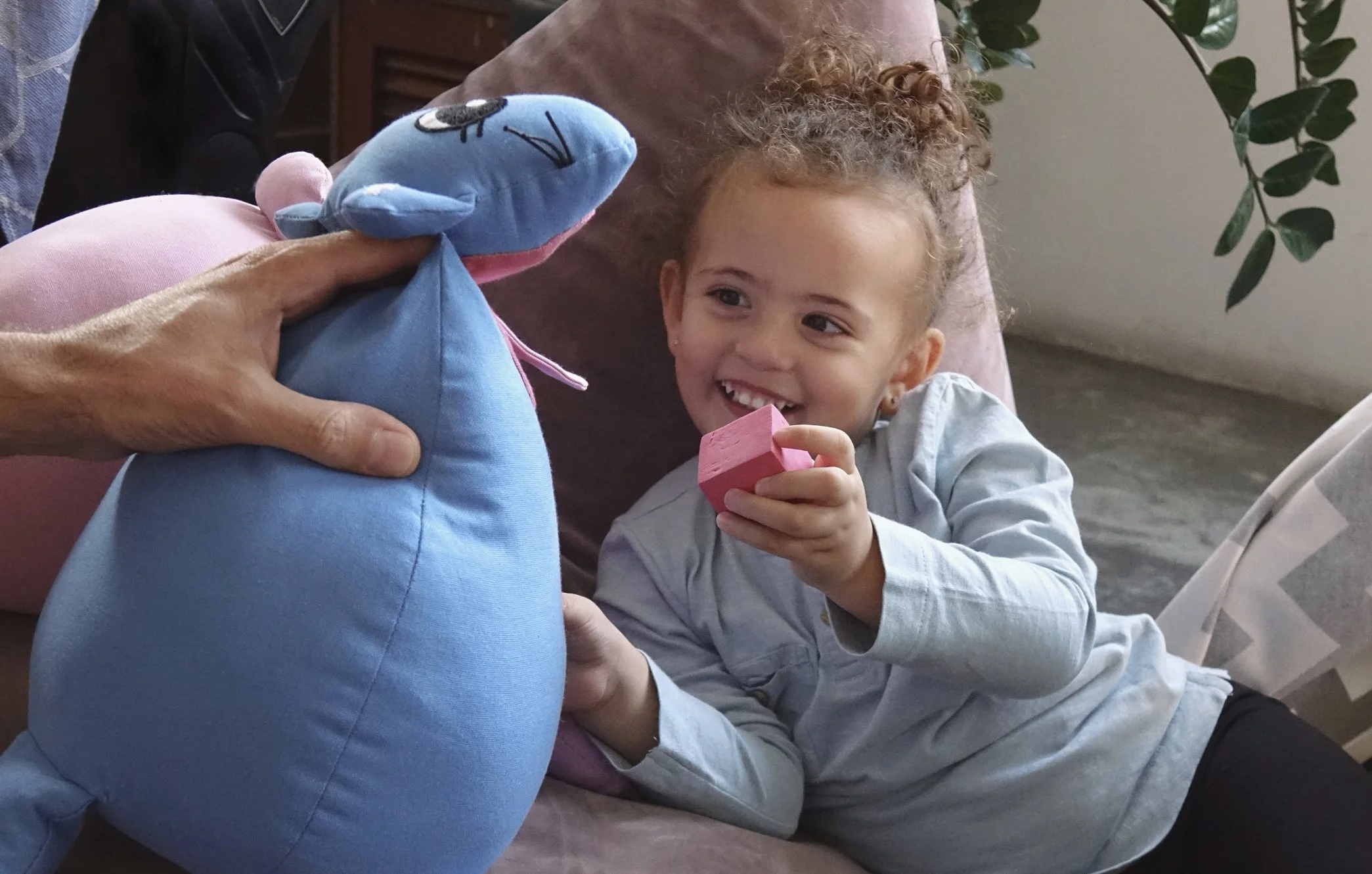 Davina Atallah DardaCats 01.jpg