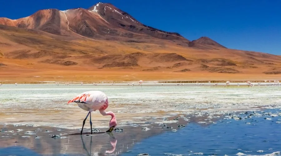 Chile’s Atacama Desert is becoming a sweet spot for energy storage