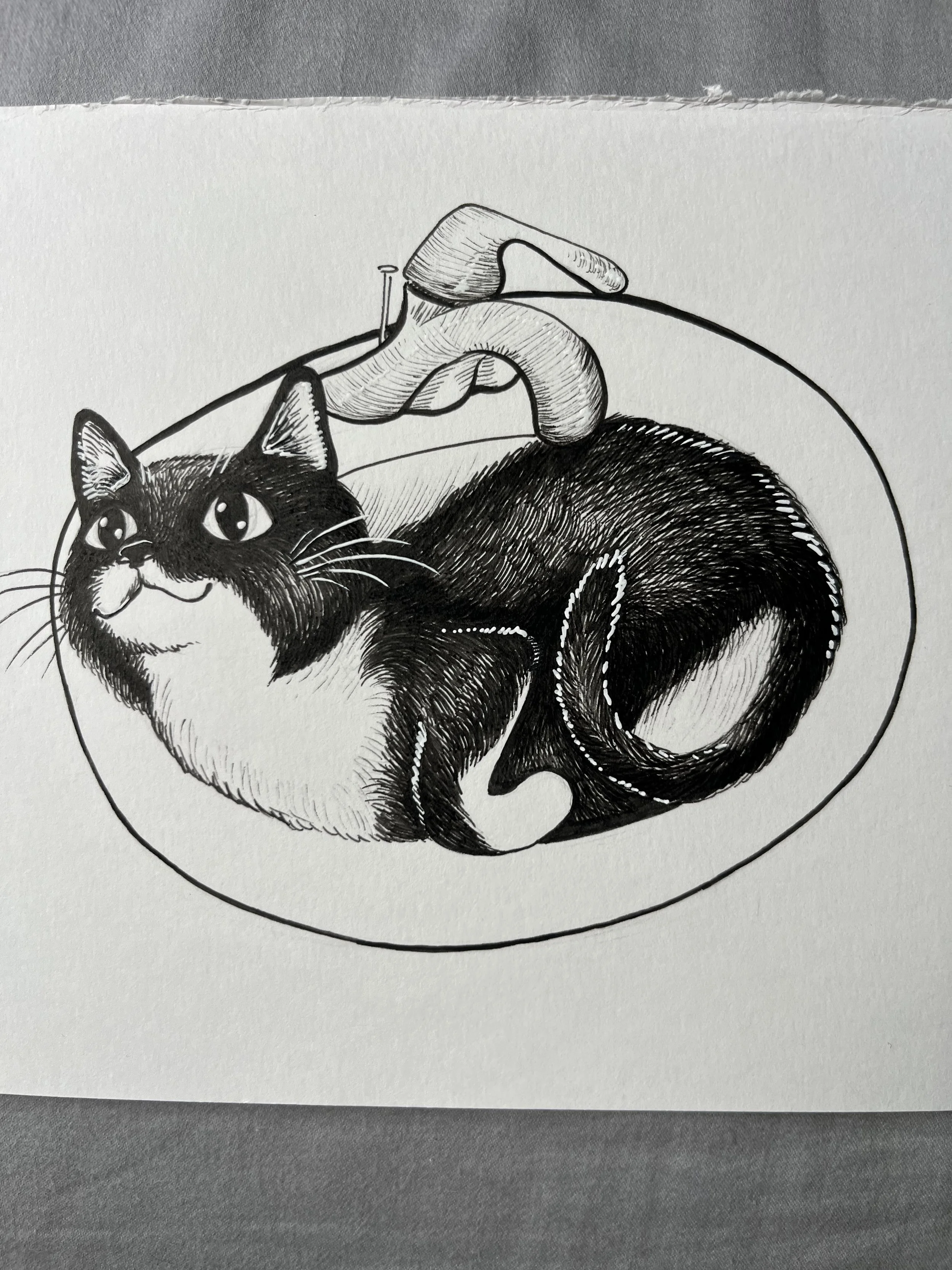 Astro in the Sink Print