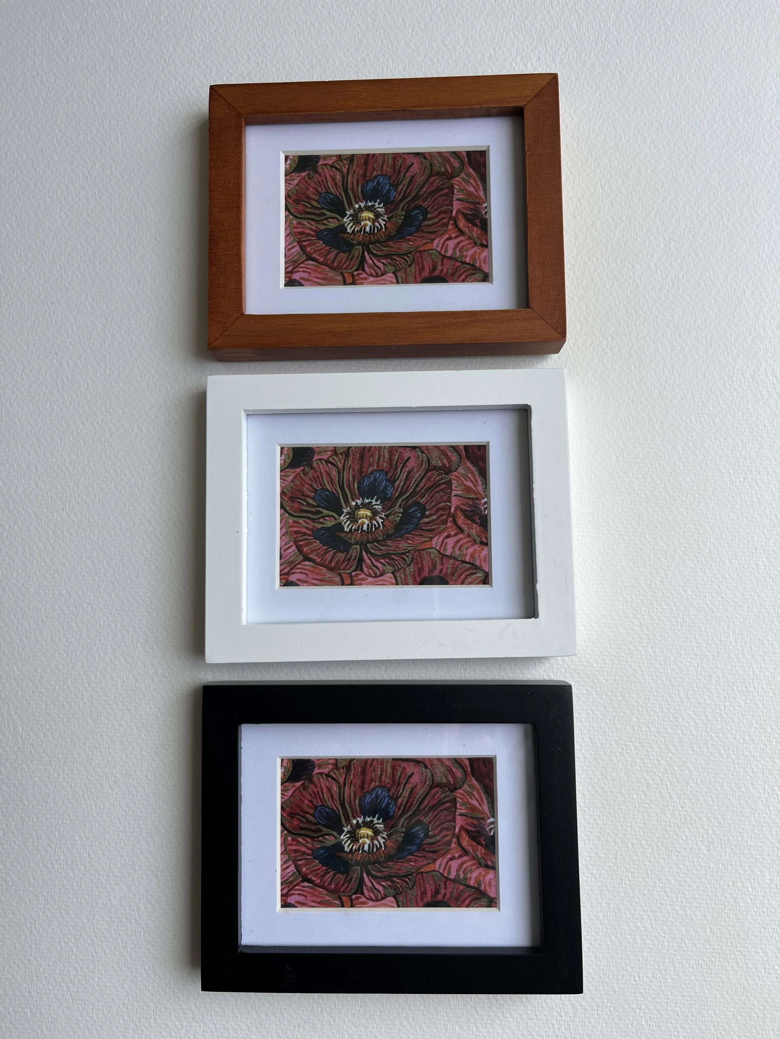Poppies lined up.jpg