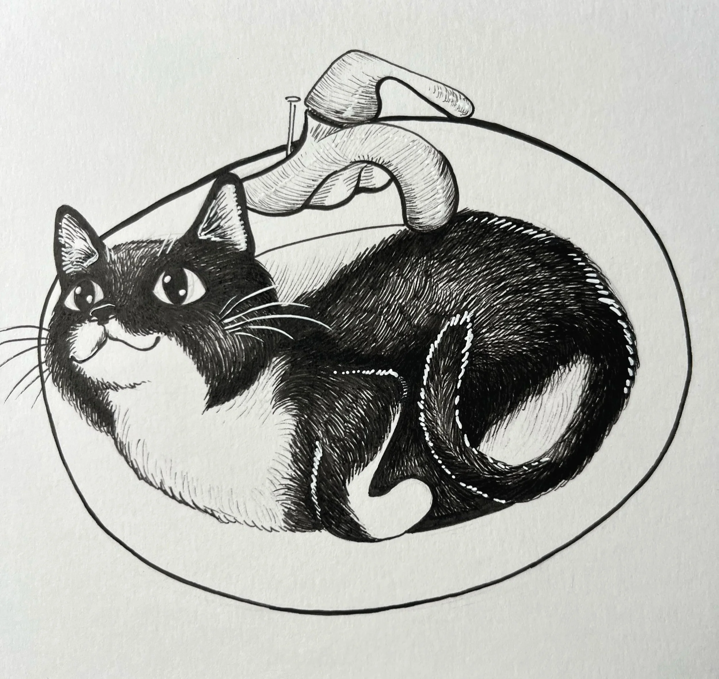 Sink+Cat.jpg