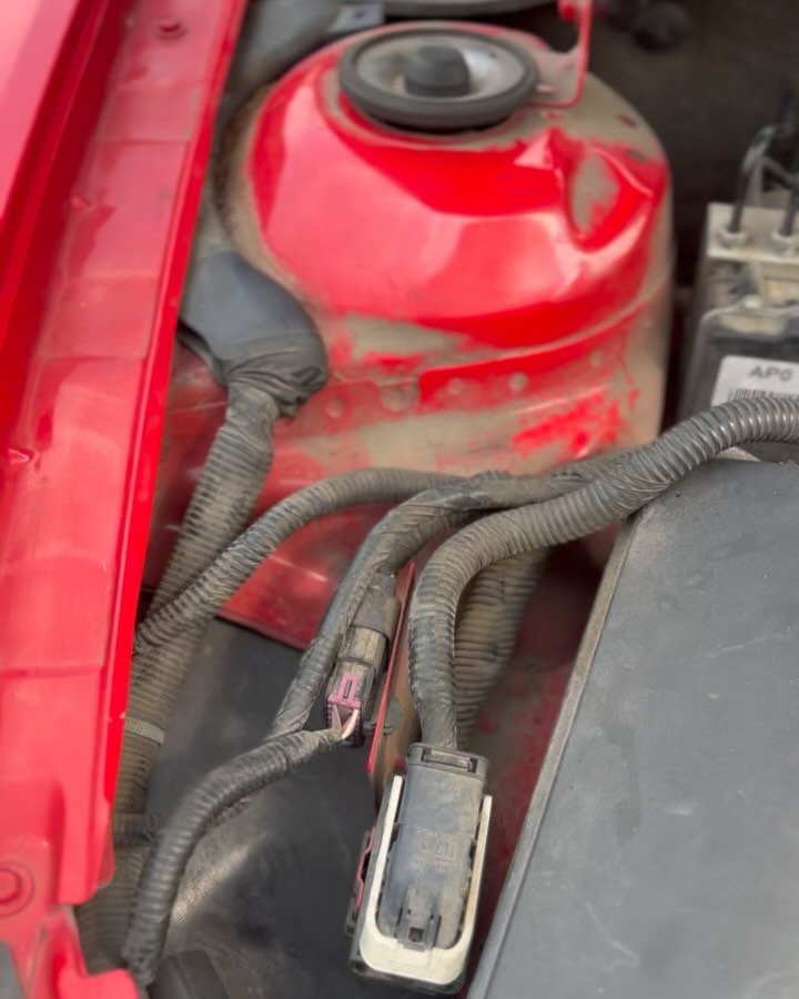 Before: Dusty, greasy, and forgotten under the hood.❌
After: Clean, polished, and ready to flex!✅✨

Our engine bay detailing brings the muscle back where it counts. Precision cleaned and protected&mdash;because every champ deserves to shine inside an