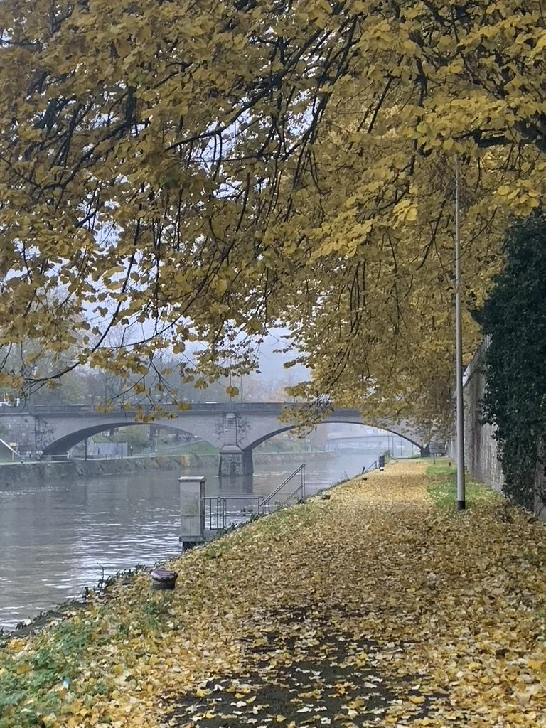 🍂 L’automne en médecine traditionnelle chinoise : une saison pour lâcher prise et se recentrer