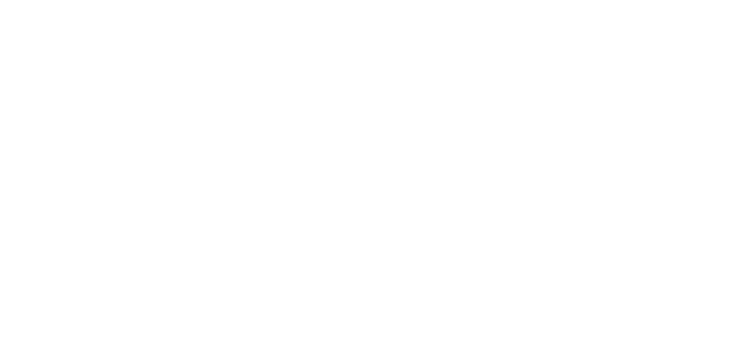 Secret Leaders