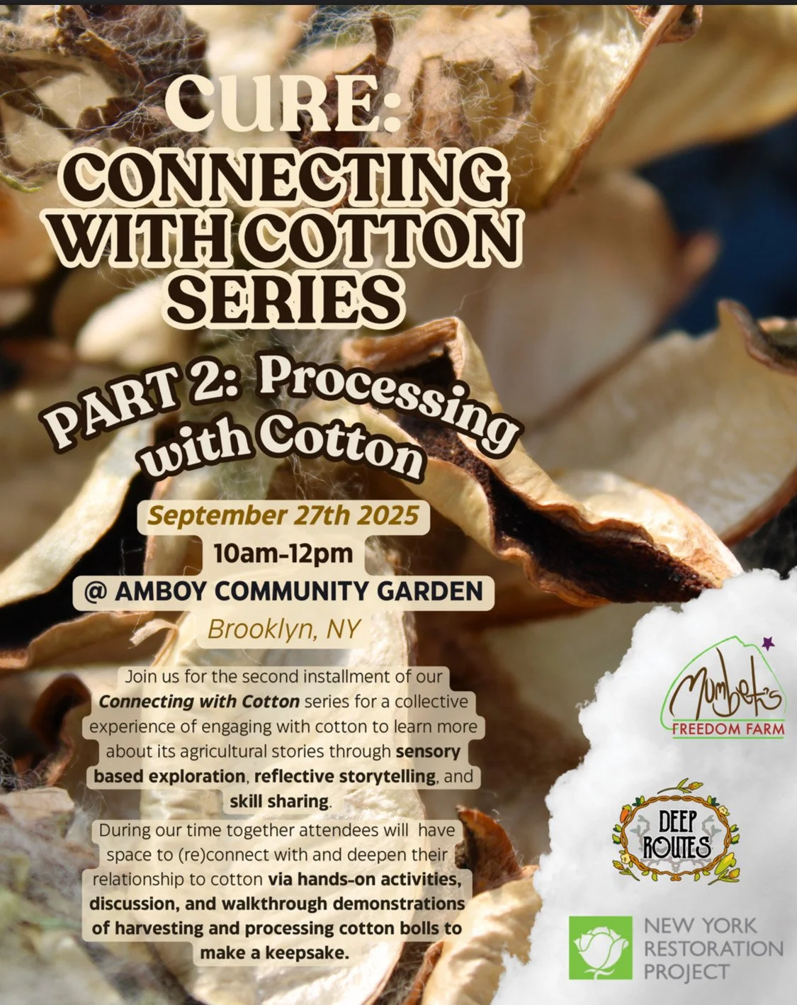 Growing with Cotton Series Pt. 2: Processing with Cotton